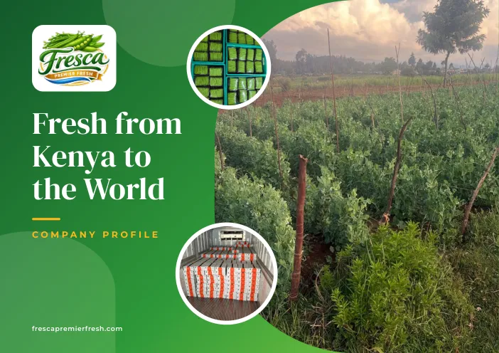 Cover of the Fresca Premier Fresh company profile